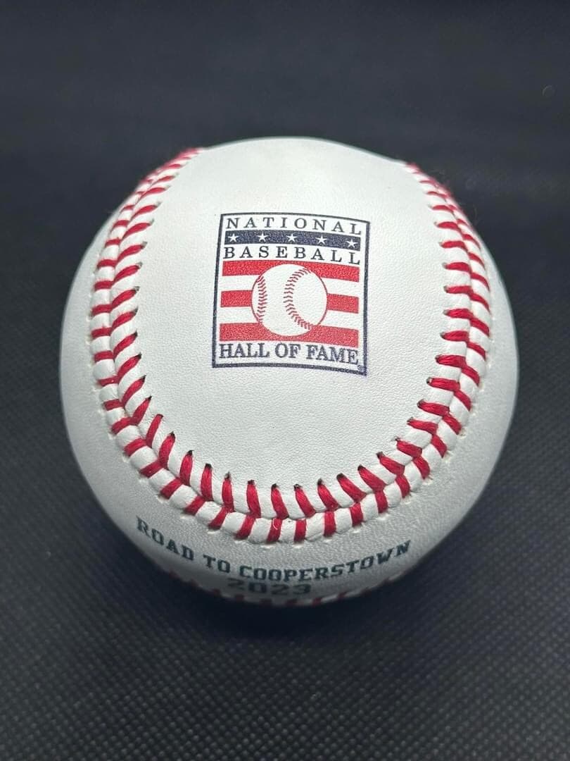 Savannah Bananas Baseball Hall Of Fame Road To Cooperstown Logo Commemorative! - image 2